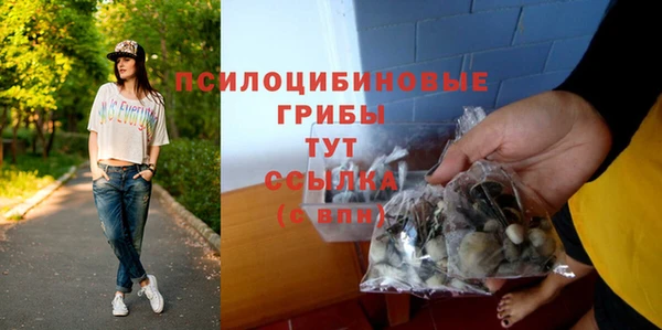 твердый Горнозаводск